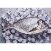 800 gr Çipura