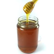 850 gr Kekik Balı