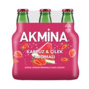 Akmina Karpuz Çilek 6x200 ml Maden Suyu