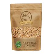Aktar Diyarı 1 kg Süpürge Tohumu
