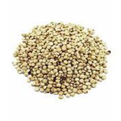 Aktar Store 100 gr Cin Elması