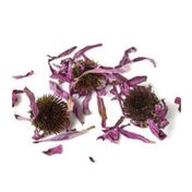 Aktar Store 50 gr Ekinezya Çiçeği