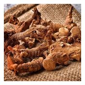 Aktar Store 50 gr Havlıcan Kök