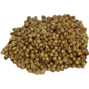 Aktar Store 50 gr Kişniş Tohumu