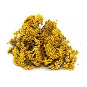 Aktarzane 1000 gr Civanperçemi Otu