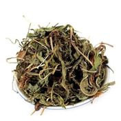 Aktarzane 1000 gr Karahindiba Otu