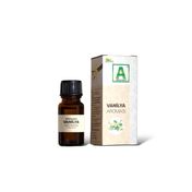 Aktarzane 20 cc Vanilya Aroması