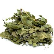 Aktarzane 250 gr Tetra Ağacı Yaprağı