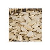 Aktarzane 500 gr Kabak Çekirdeği Tuzlu