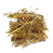 Aktarzane 500 gr Melek Otu
