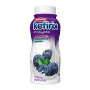 Altınkılıç 250 ml Yaban Mersini Kefirix
