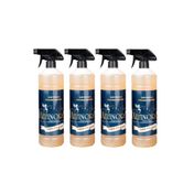 Altınoran 4x1 kg Leke Çıkarıcı & Sökücü Sprey