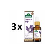 Arifoğlu 3x20 ml Lavanta Yağı