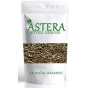 Astera 1 kg Kereviz Tohumu