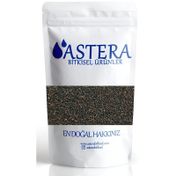 Astera 1 kg Siyah Hardal Tohumu