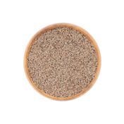 Astera 50 gr Tane Karnıyarık Otu Tohumu
