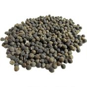 Atasagun Şifa 1 kg Bamya Tohumu