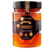 Balçiçeğim 450 gr Çam Bal