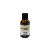 Başak Organik 30 ml Kukui Yağı