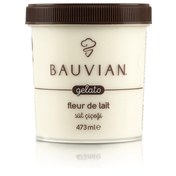 Bauvian 473 ml Süt Çiçeği Dondurması