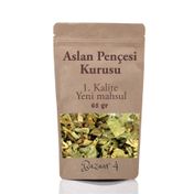 Bazaar 4 65 gr Testere Dişli Aslan Pençesi