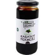 Beferment 600 gr Organik Karadut Pekmezi