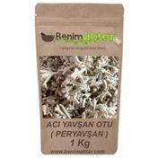 Benim Aktar 1 kg Acı Yavşan Otu