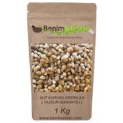 Benim Aktar 1 KG Dut Kurusu Malatya