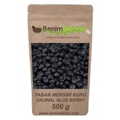 Benim Aktar 500 gr Yaban Mersini Blueberry