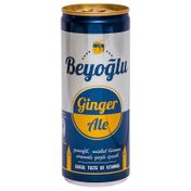 Beyoğlu Ginger Ale Zencefil Aromalı 250 ml Gazlı İçecek