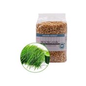 Beyorganik 500 gr Organik Çimlendirmelik Buğday