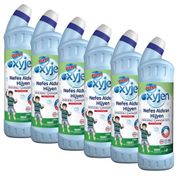 Bingo Oksijen Çam Kokulu 6x750 ml Çamaşır Suyu