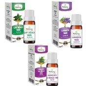 Biorganix Life 3x20 ml Lavanta + Çay Ağacı +Adaçayı Bitkisel Yağı