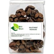 Bitki Diyarı 1 kg Servi Kozalağı