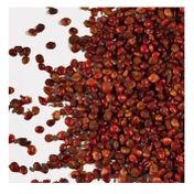 Botanik Sağlık 100 gr Tane Sumak