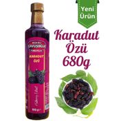 Bozkırlı Çavuşoğlu 680 gr Doğal ve Katkısız Karadut Özü