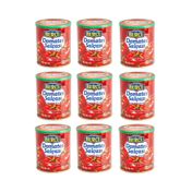 Burcu 9x830 gr Domates Salçası