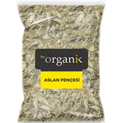 Testere Dişli Aslan Pençesi Fiyat ve Modelleri