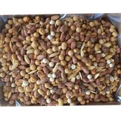 Çakır Çerez 5 kg Kına Çerezi Dökme Kabuklu