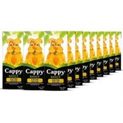 Cappy Kayısı 200 ml Nektarı Meyve Suyu