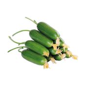 Çengelköy Salatalık