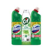 Cif Bahar Ferahlığı Granit Sıvı Yüzey Temizleyici 750 ml & Domestos Dağ Esintisi 2x810 ml Çamaşır Suyu