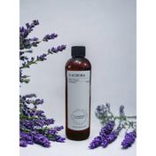 D-Aurora Fragrance 250 ml Pro Mac Achernar Koku Makinası Diffuser Esans Yağı
