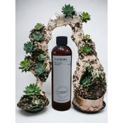 D-Aurora Fragrance 250 ml Pro Mac Atria Koku Makinası Diffuser Esans Yağı