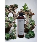 D-Aurora Fragrance 250 ml Pro Mac Navi Koku Makinası Diffuser Esans Yağı