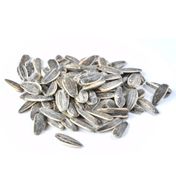 Dakota Tuzlu 500 gr Çekirdek