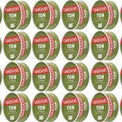 Dardanel 24x75 gr Ton Zeytinyağlı