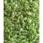 Dilşeker 250 gr Naneli ve Mentollü Şeker