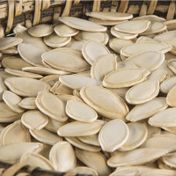 Dilşeker 500 gr Nevşehir Çiğ Kabak Çekirdeği