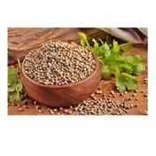 Dökme Baharat 100 gr Tane Kişniş
